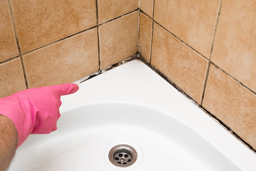 Remove Mold From Shower Caulk Or Tile Grout, Removing Caulk From Tile