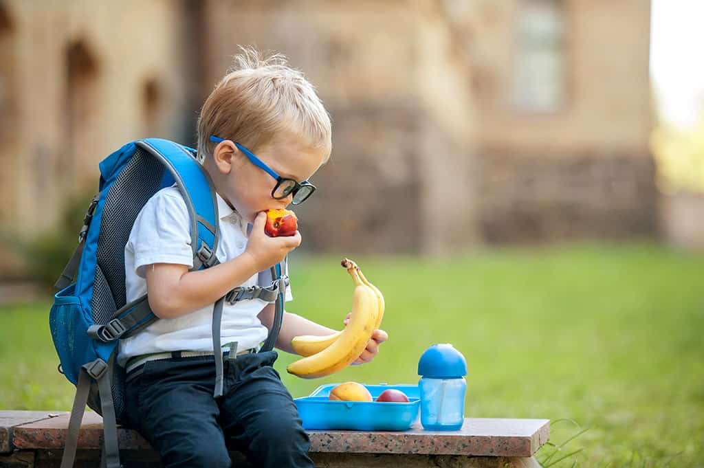 How to Clean School Lunch Bags