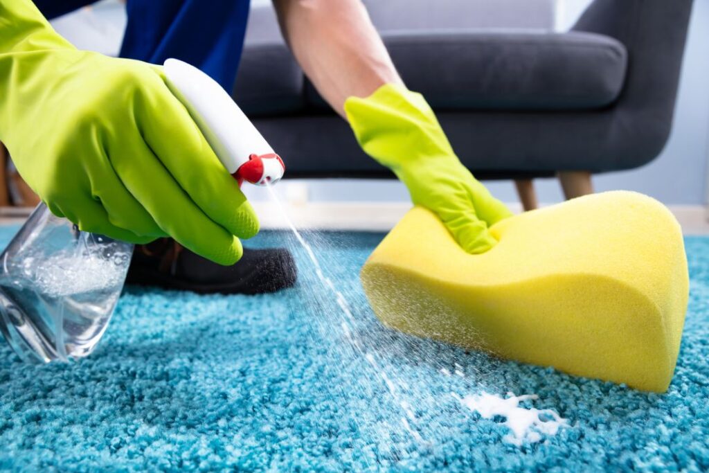 Stain removal expert guide