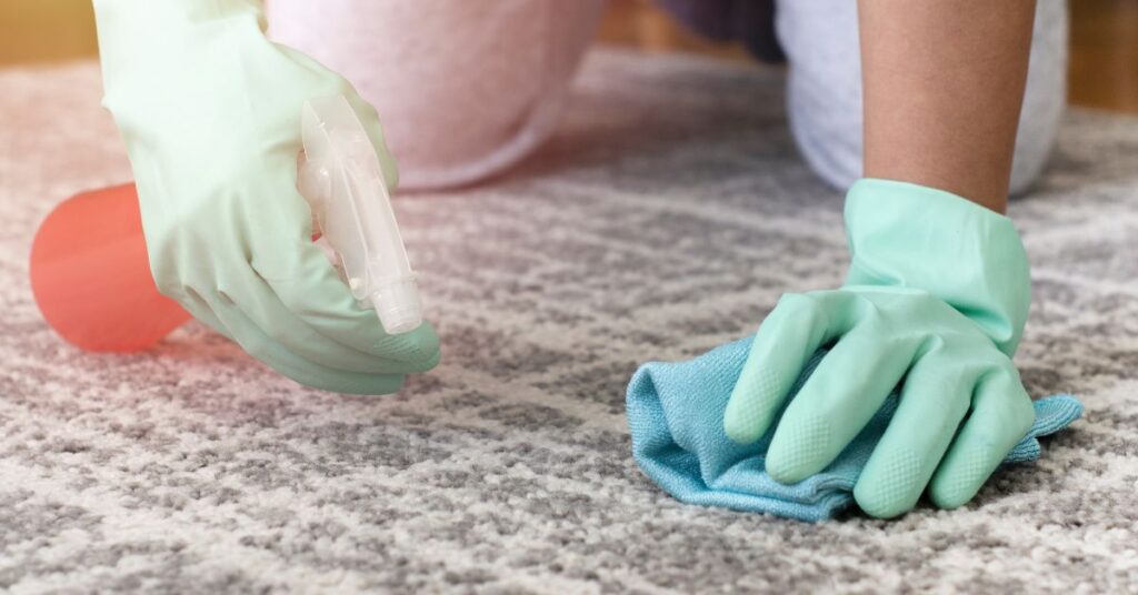 Stain removal expert guide