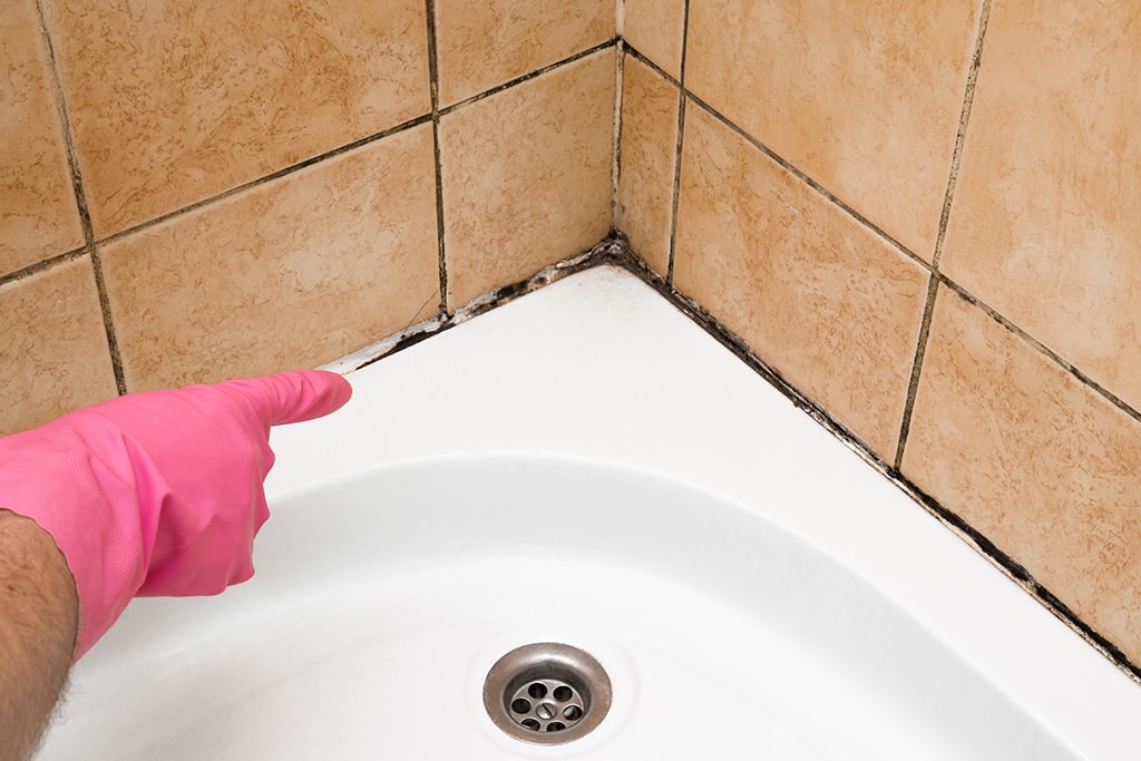 person wearing glove and pointing to mold in corner of bathroom shower wall