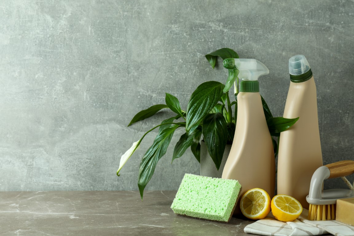 Can I request Green or Chemical Free Cleaning Products? Learn more with this article about Fabulously Clean in Boise.